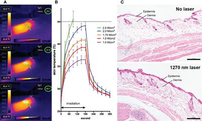 1270 nm near-infrared light as a novel vaccine adjuvant acts on mitochondrial photoreception in intradermal vaccines